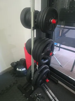 Banco de pesas y discos gimnasio