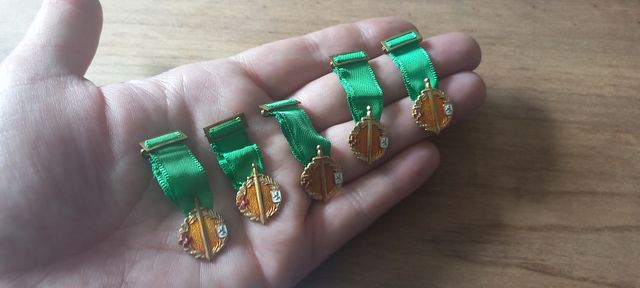 Lote 5 mini medallas Excombatientes León