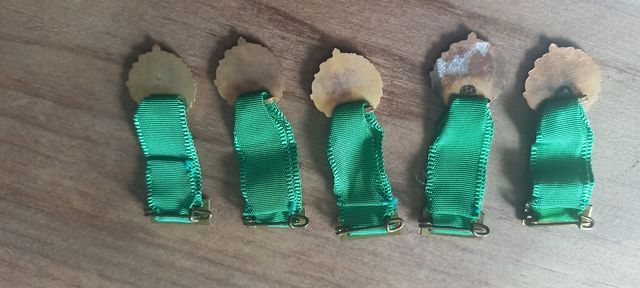 Lote 5 mini medallas Excombatientes León