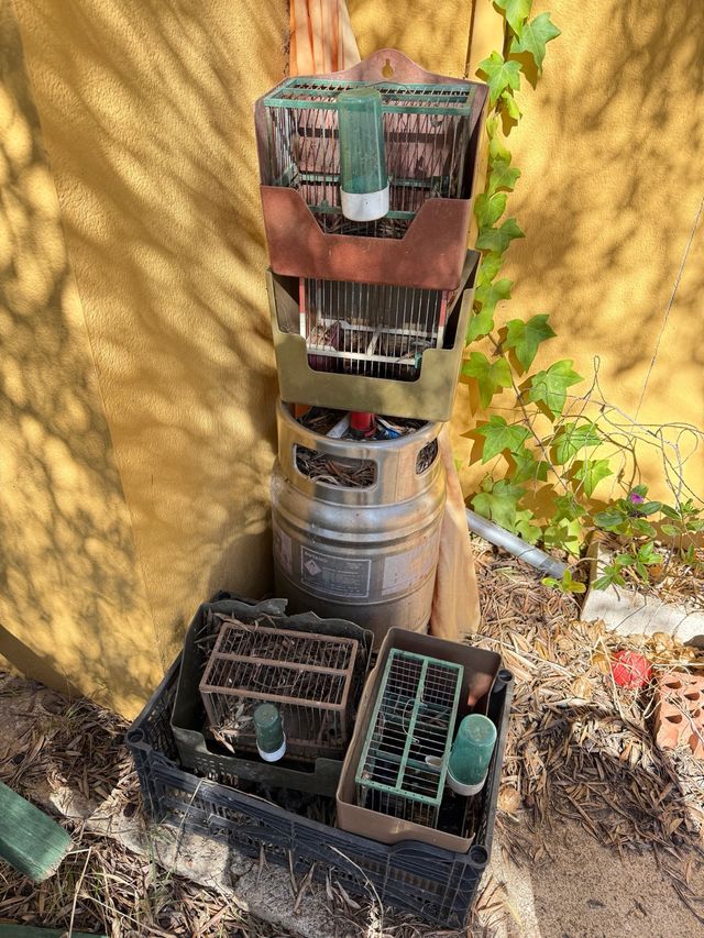 Jaulas para pájaros con cajón