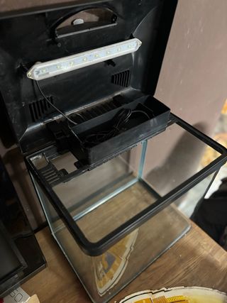 Acuario 31.5L con tapa y luz LED