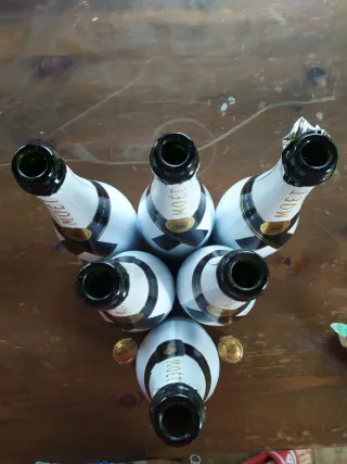 6 Bottiglie Vuote Moët & Chandon Ice