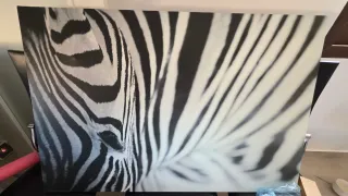 Cuadro Cebra Ikea