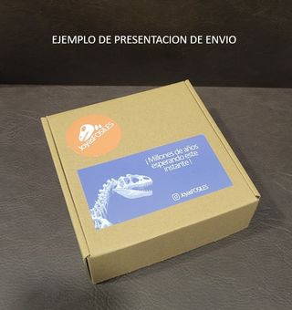 Fósil Mosasaurus 6-7 cm SOLO HOY