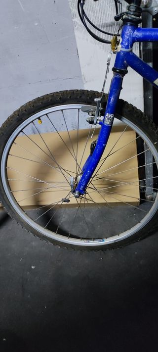 Bicicleta Diamond Back Ascent Clásica MTB