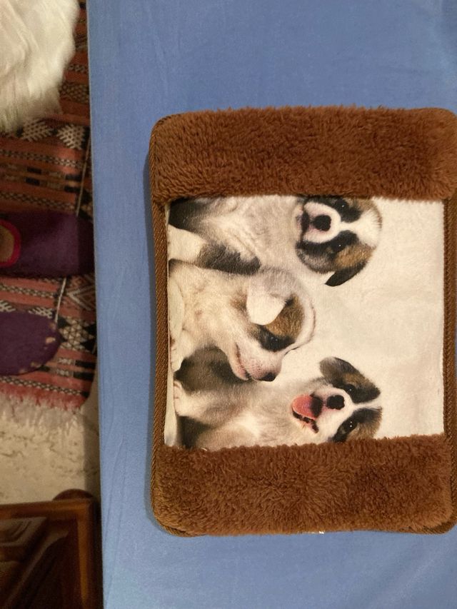 Bolsa de agua caliente eléctrica con funda