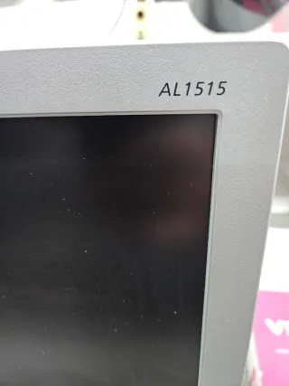 Monitor Acer AL1515s 15 Plata/Negro