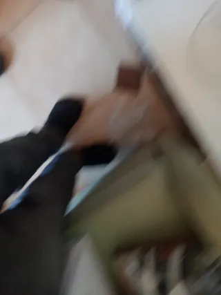 Robot Aspirador Xiaomi Robot Vacuum-Mop 2S