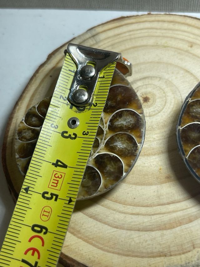 Coppia di ammoniti levigati fossili in vendita