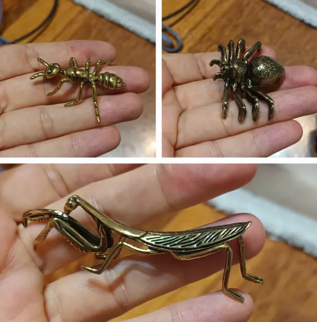 Araña, mantis y hormiga según foto insecto