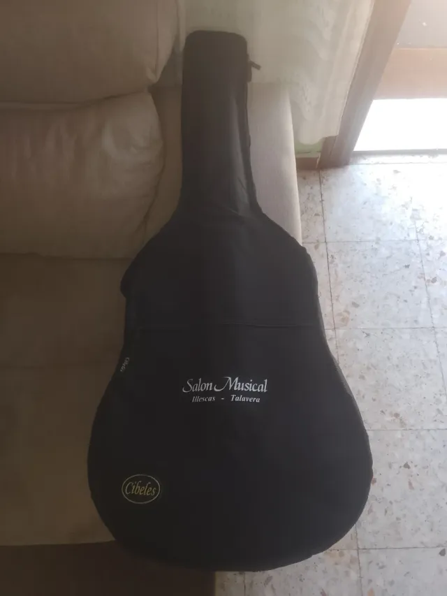 Guitarra Salon Musical Negra / Marrón