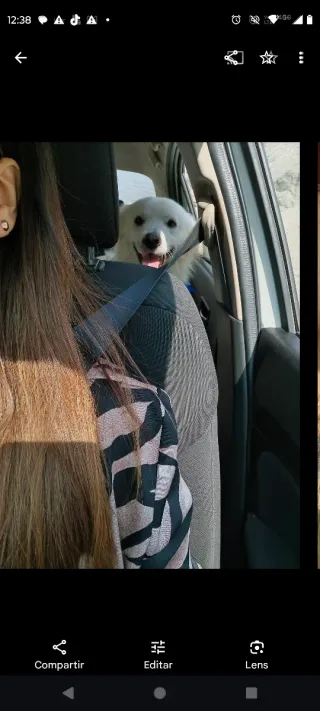 Cuidando a tu mascota con amor y cuidados .