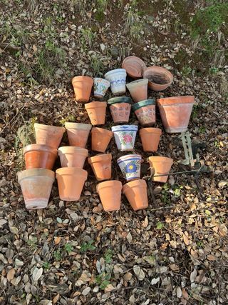 Lote de macetas de terracota y cerámica
