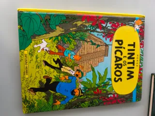 Tintim e os pícaros