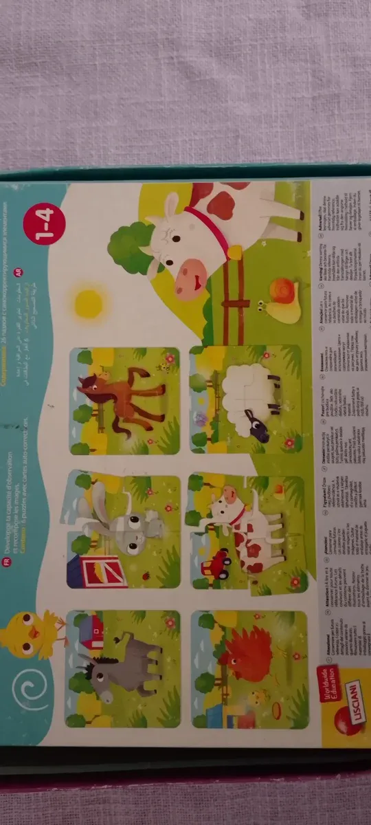 Puzzle Carotina Baby Lisciani 1-4 pezzi