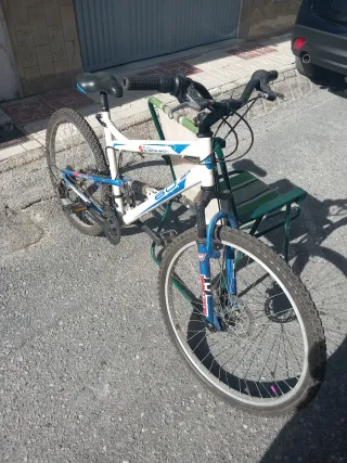 Bicicleta tamaño mediano
