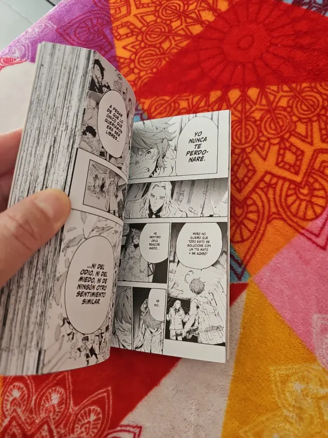 The promised NEVERLAND