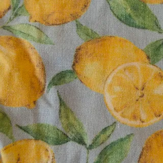 Blusa cropped Zara estampado limones Talla S