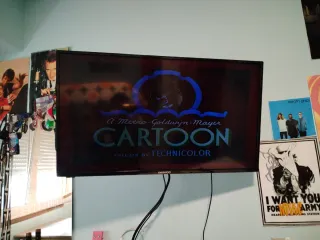 Reproductor DVD Belson