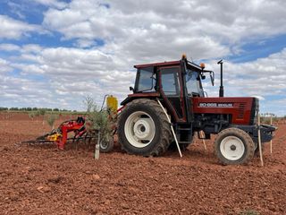 Cultivador 13 Brazos con intercepa, para árboles