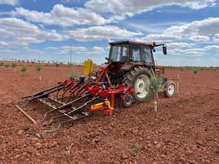 Cultivador 13 Brazos con intercepa, para árboles