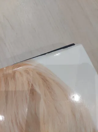 Lady Gaga X Terry Richardson