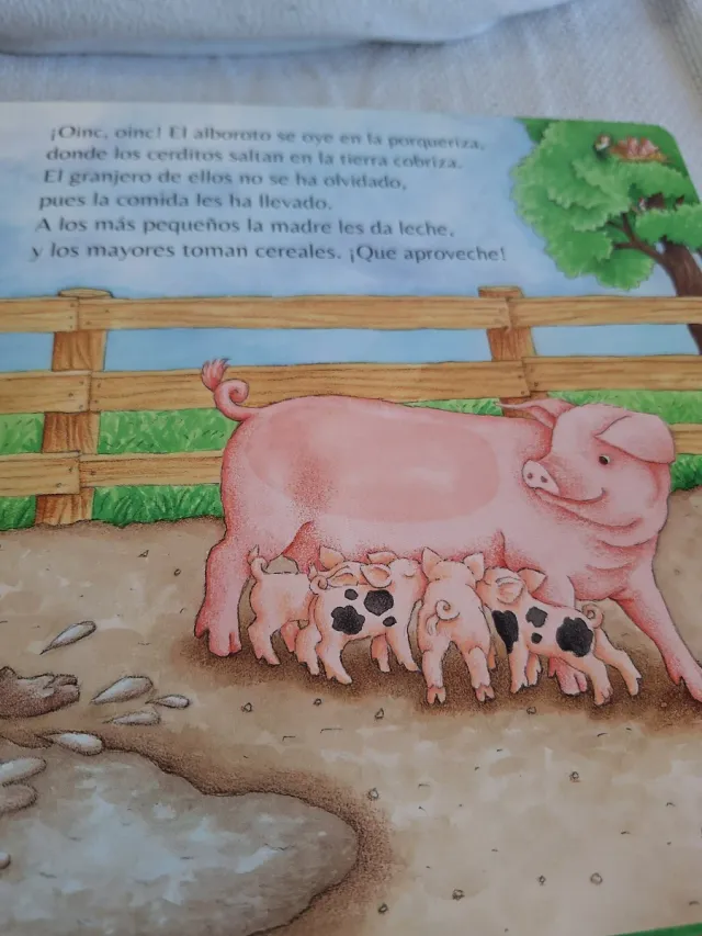 Pack 3 libros infantiles texturas