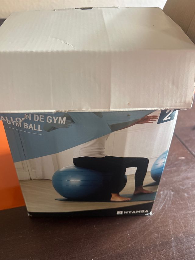 Pelota Pilates Gymball