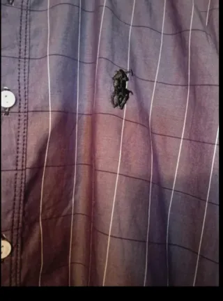 Camicia Ralph Lauren donna in ottime condizioni