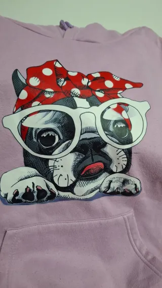 Sudadera divertida perro con gafas