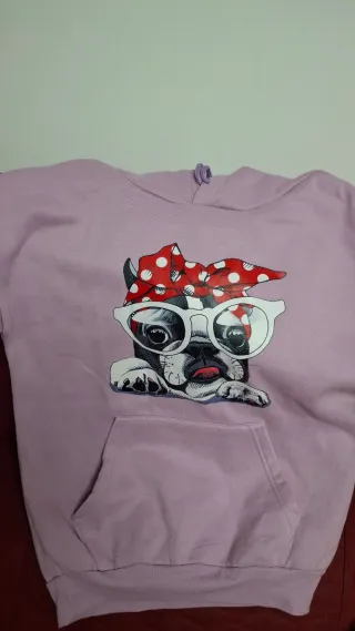Sudadera divertida perro con gafas
