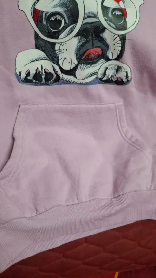 Sudadera divertida perro con gafas