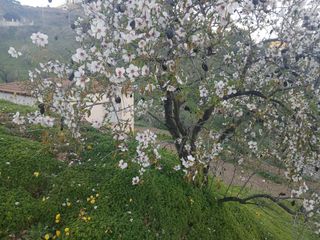 Casa de campo en venta