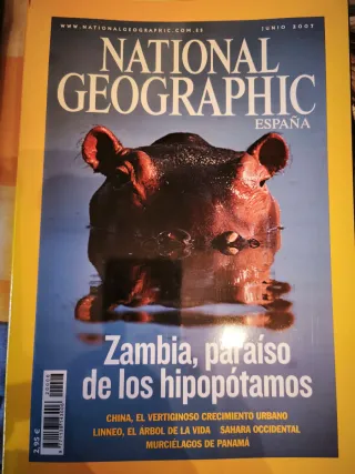 Lote revistas National Geographic España 2