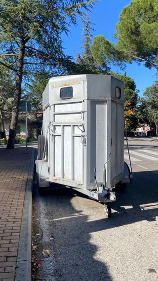 Remolque caballos 2 plazas