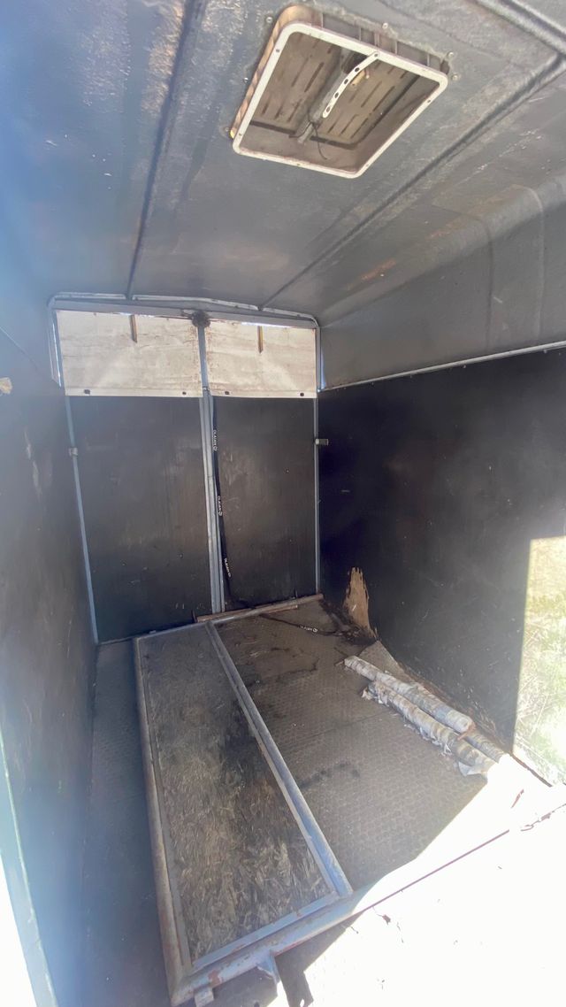 Remolque caballos 2 plazas