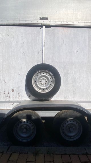 Remolque caballos 2 plazas