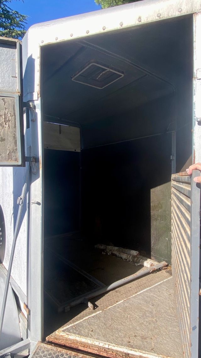 Remolque caballos 2 plazas