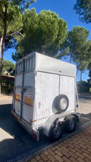 Remolque caballos 2 plazas