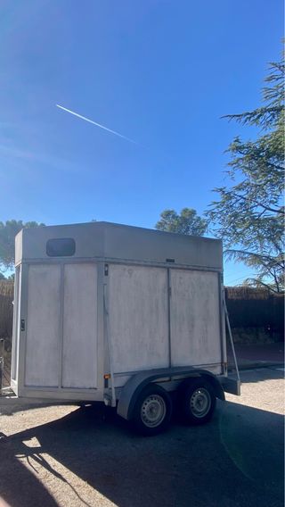 Remolque caballos 2 plazas
