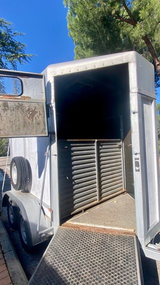 Remolque caballos 2 plazas