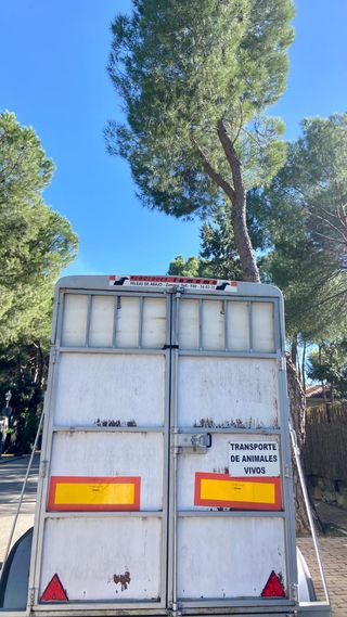 Remolque caballos 2 plazas