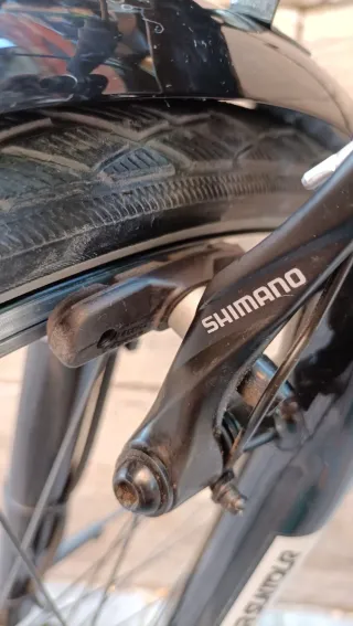 Bicicleta Kallkhoff de paseo