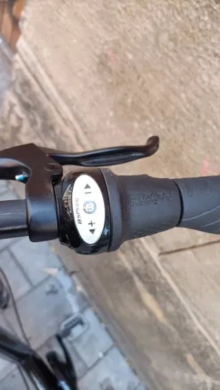 Bicicleta Kallkhoff de paseo