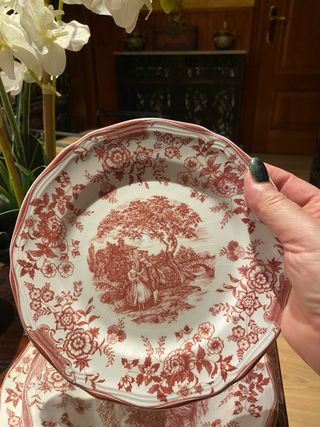 Platos La Cartuja Diseño Floral Rojo