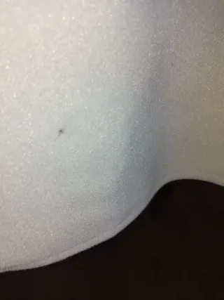 Capa gris perla con plumas