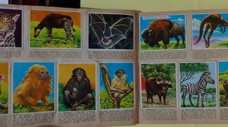 Album Maga ,Completo de 1967