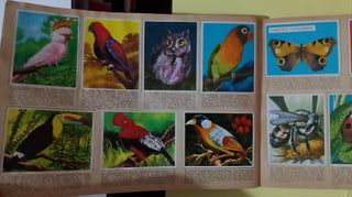 Album Maga ,Completo de 1967