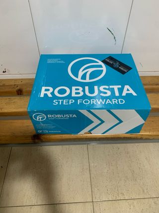 Zapatos de seguridad ROBUSTA azules