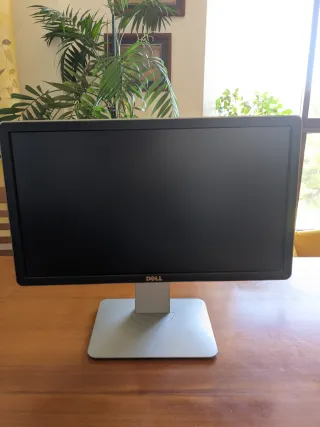 Monitor DELL 20" regulable en altura